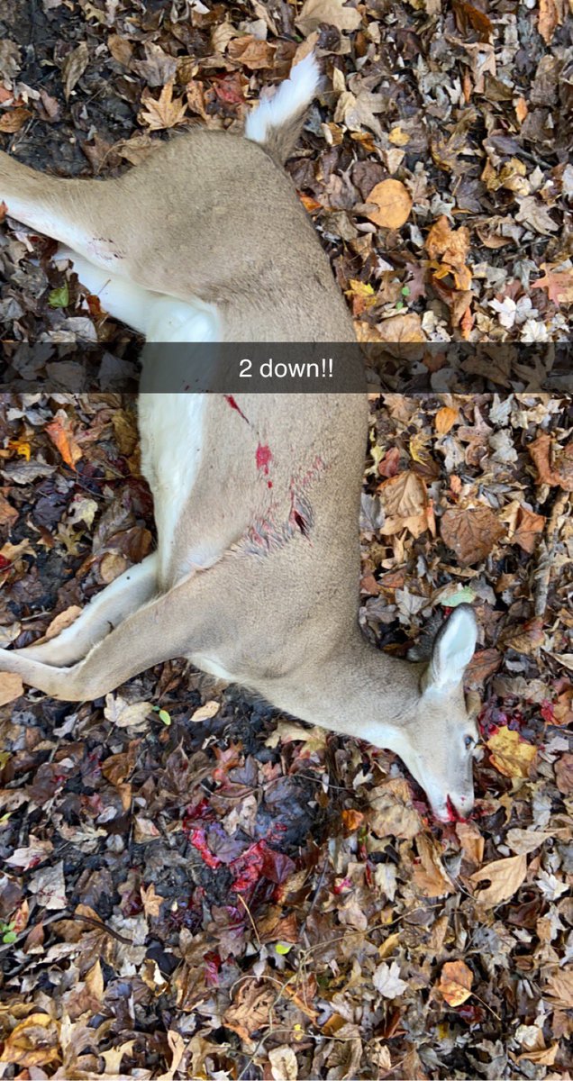 1fulldraw's tweet photo. Weekend before gun season for some beers, football, and golden tee! Awesome season so far! #family #tradition #deerhunting https://t.co/x8pod0Tx2c