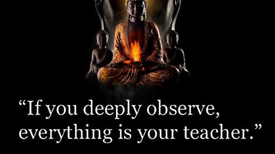 Observe deeply everything..!!
.
.
.
#motivationalquotes #inspirationalthoughts #iamblessed #yourquote #gowithpeace #calmnessofmind #successmindset #dothebest #withyourself