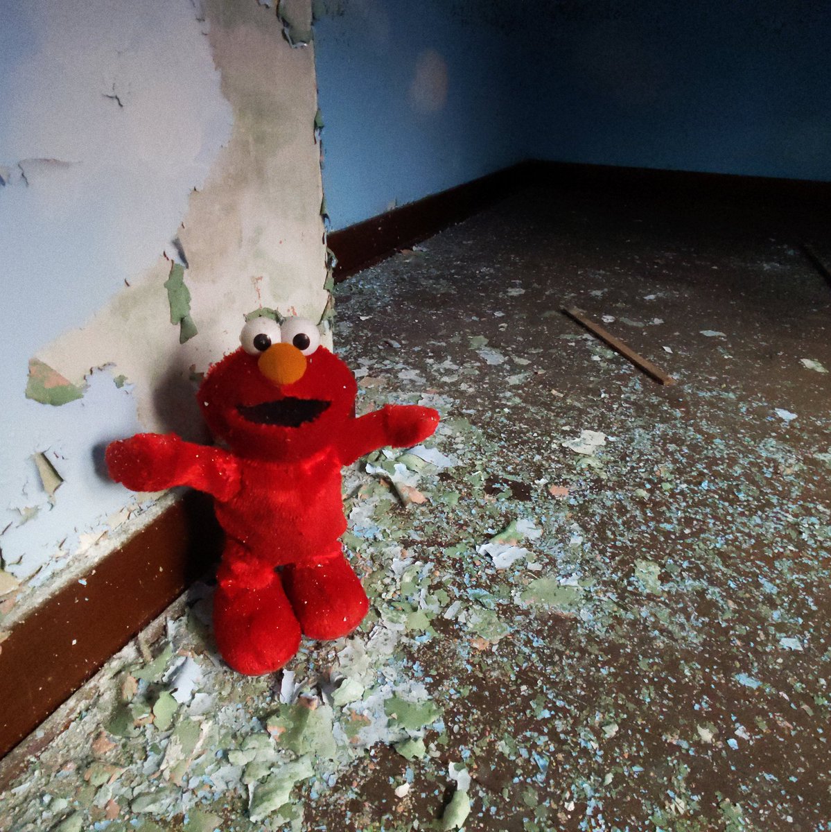 This dude surprised me in a dark attic.