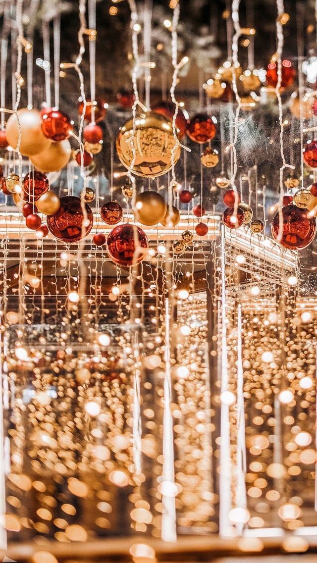 ⿻ Diciembre 21;

—El invierno había llegado y la explanada en la alameda de la villa se ilumina con luces navideñas en árboles, fuentes, edificios y demás para recibir a todos los habitantes pues ahí se estaría encendiendo el enorme árbol navideño que se alzaba en la explanada.—