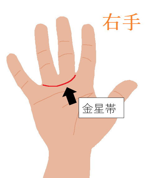 人格 今日の手相 才能 今日の手相は 金星帯 きんせいたい 色気があるか等どれだけ異性にモテるかわかります 人差し指と中指の間から出発し 薬指と小指の間に弧を描いて伸びる線です 異性を惹き付ける度合いなので音楽やダンス等芸術面で才能を