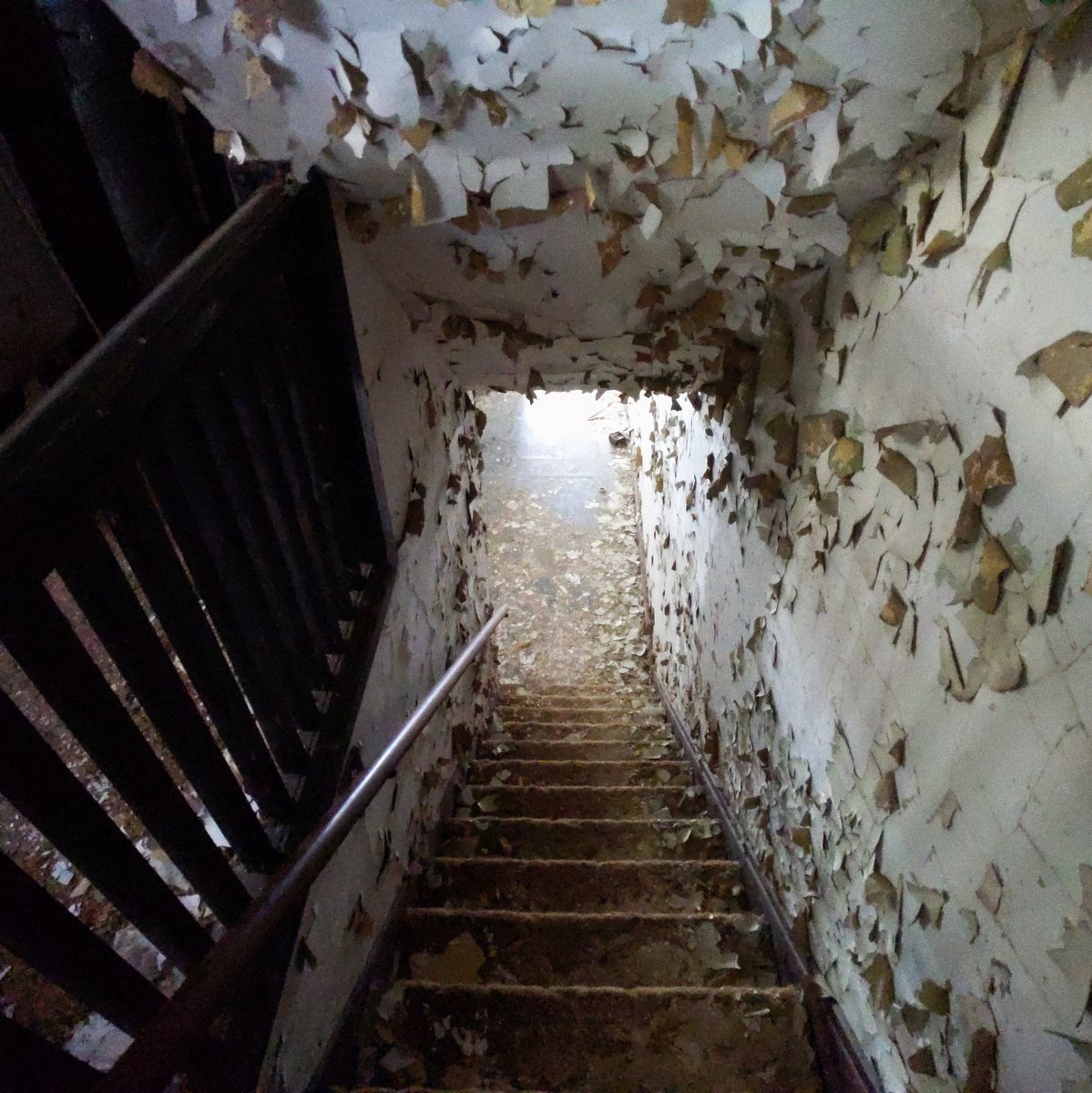 As soon as weather has regular access to the inside of a building that shit is not long for this world.