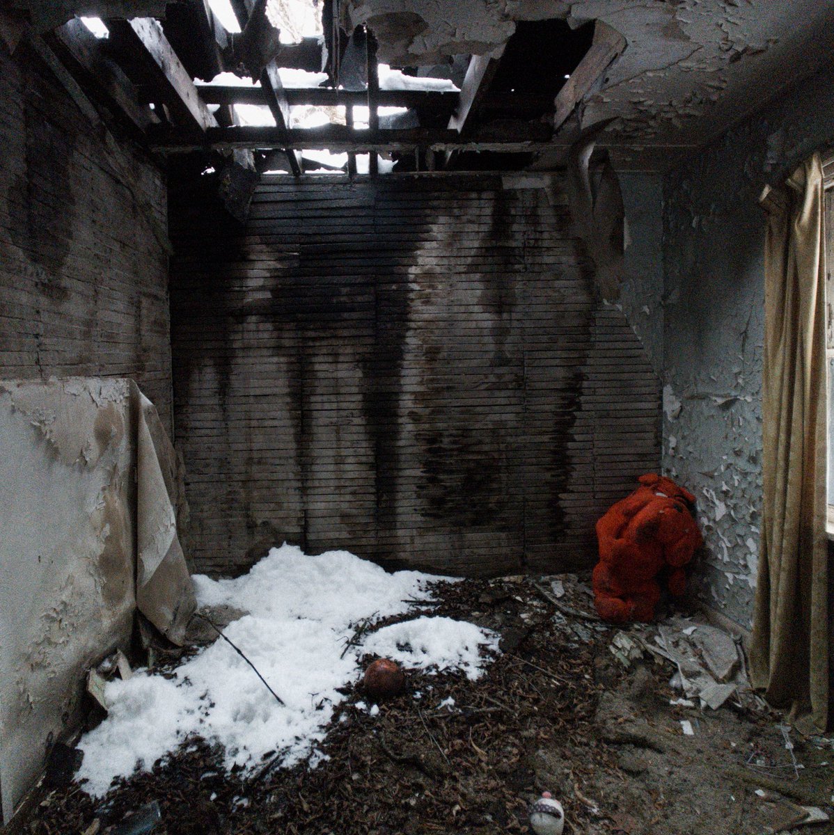 This tough dude was squatting in the back corner room on the second floor of one of the houses, enjoying the views of open sky at night.