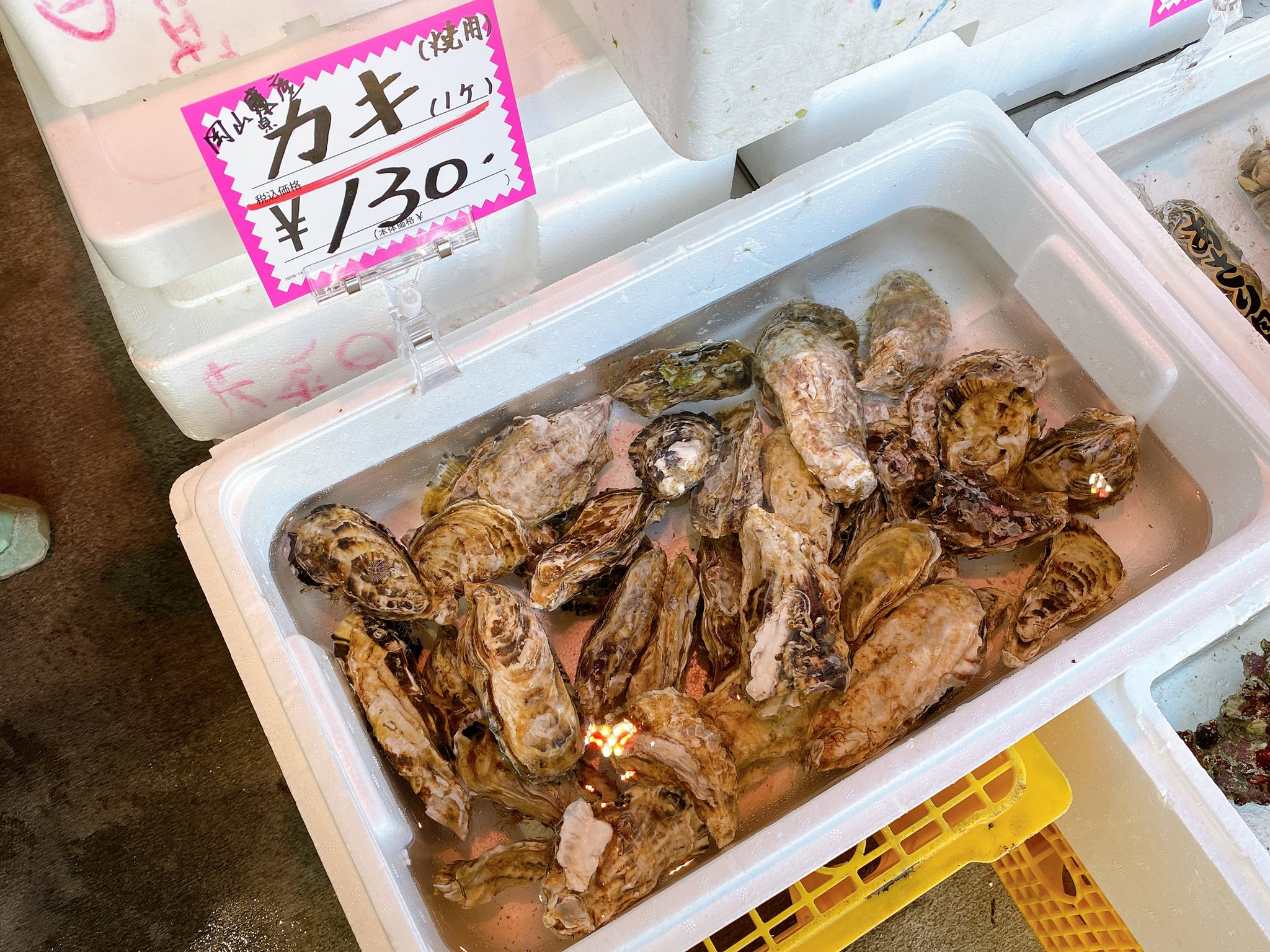 芝宮ちかこ 浜松市カメラ講師 カメラマン 浜松市東区天王町の居酒屋 ごっちん が 魚屋さんをオープン 御前崎や浜松市場から仕入れる新鮮な活魚が並んでいます 刺身盛り組み合わせ自由 活車エビ300円 岩ガキ130円 岩ガキの食べ方を教わったので 芝宮ちかこ 浜松市カメラ講師 カメラマン 浜松市東区天王町の居酒屋 ごっちん が 魚屋さんをオープン 御前崎や浜松市場から仕入れる新鮮な活魚が並んでいます 刺身盛り組み合わせ自由 活車エビ300円 岩ガキ130円 岩ガキの食べ方を教わったので