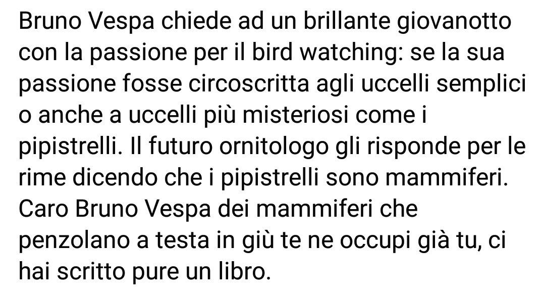 Ciro Noviello (@cironoviello2) on Twitter photo 