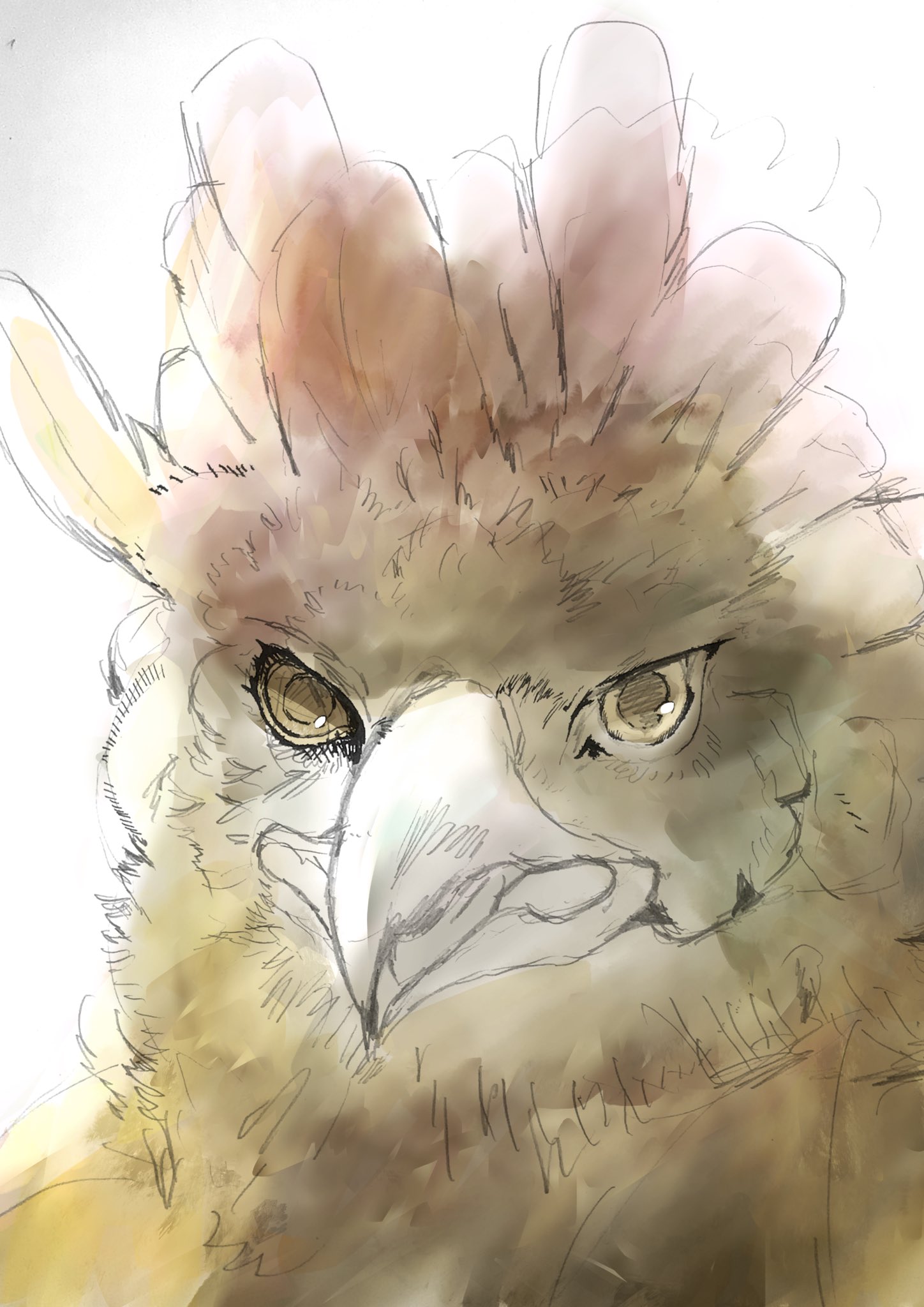 水野カスミ ン 落書きの鷲 イラスト好きな人と繋がりたい 水野カスミ ン 落書きの鷲 イラスト好きな人と繋がりたい