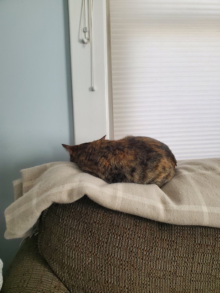 CindySweethart's tweet photo. When your girl is playing hard to get. https://t.co/NwaqEucthl