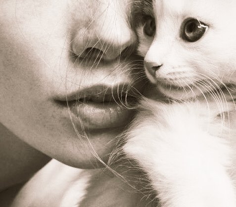 Sonra bir gün gelir
Öpmediğin için
Pişman olursun
Ve dudağında
Bir yara izi gibi
Kalır...

Günaydın  ...
#Solyanım