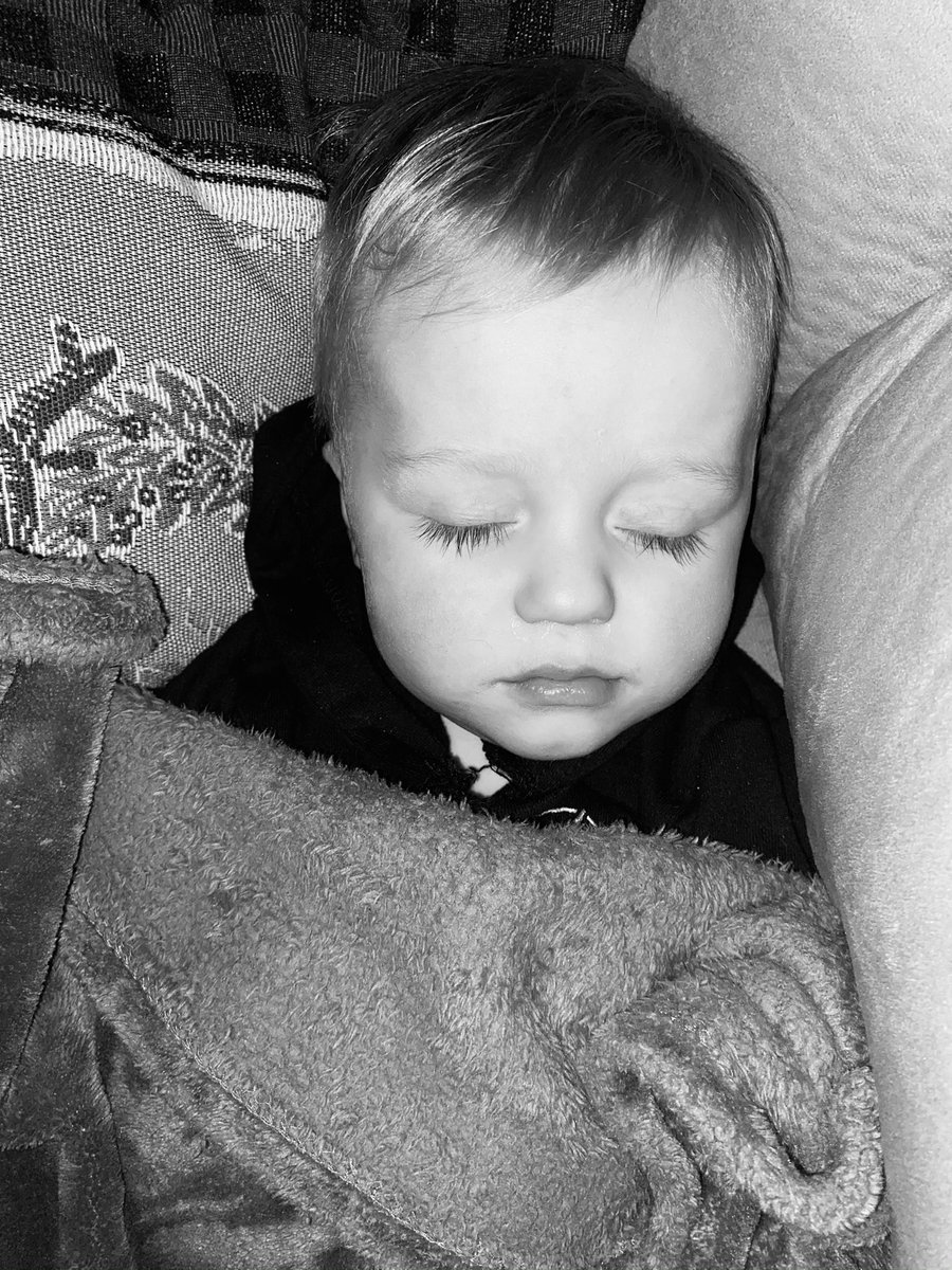 lexbunch's tweet photo. This little guy wanted to chill with mom for a Netflix documentary but couldn’t hang ♥️ https://t.co/Yga4uO7NSU