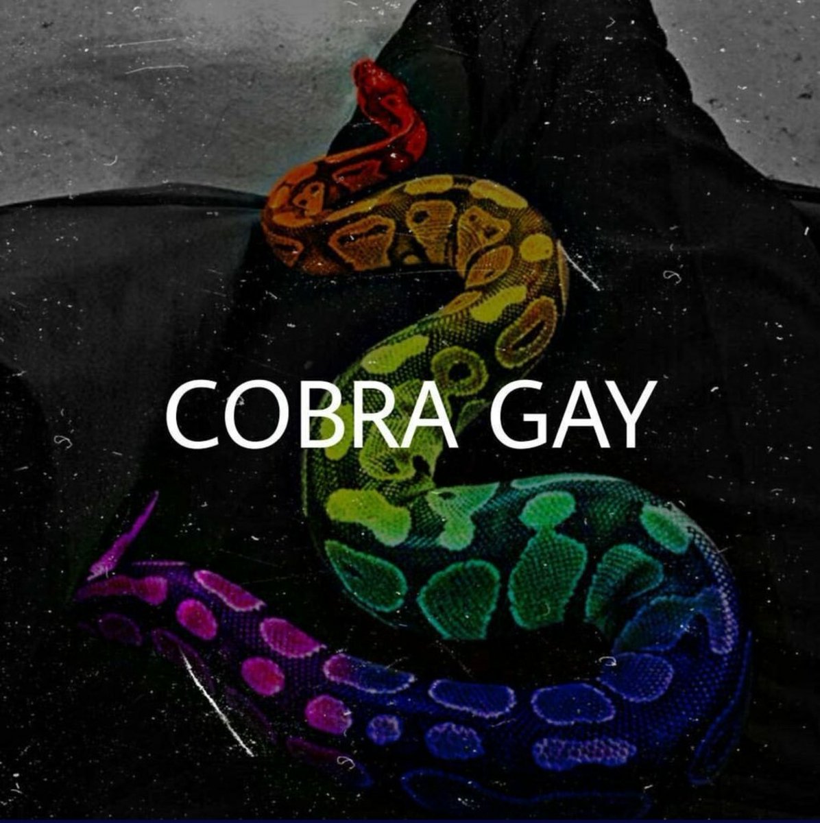 Yo también lo quería hacer, ah. #CobraGay #darkside