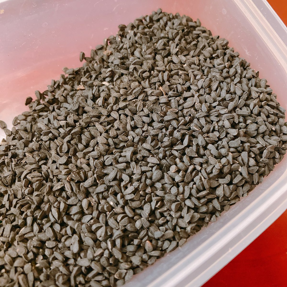 ブラッククミン