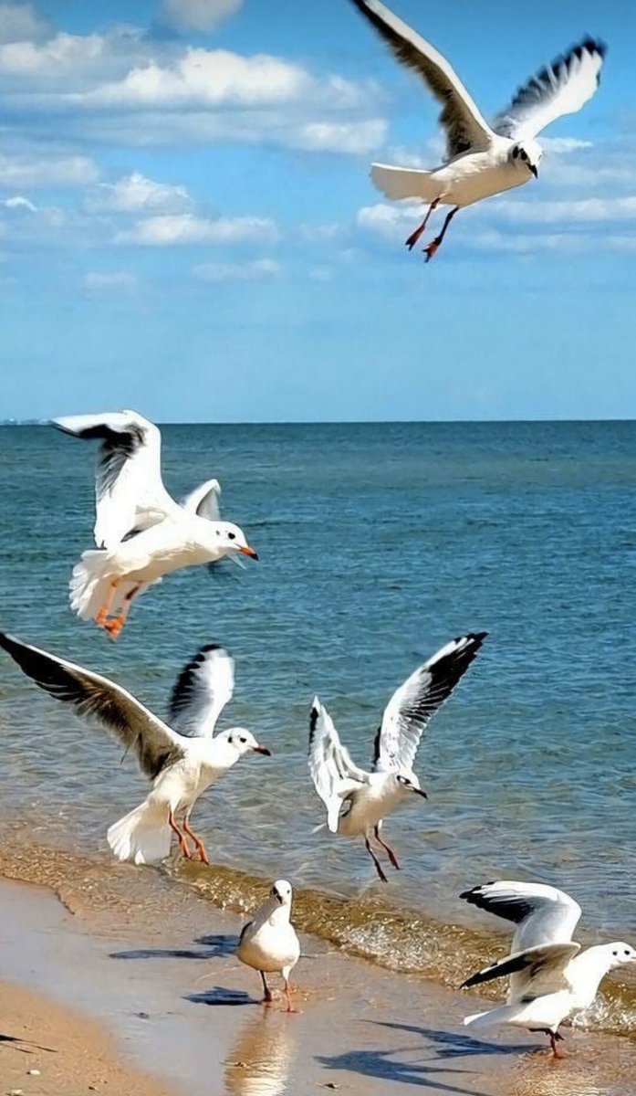 Maryam_Gheilani's tweet image. مهما كان النسيان صديق الأيام ؛ ف للذكرى... وفاء مختلف...
صباحكم سعادة لا تنتهي ❤️