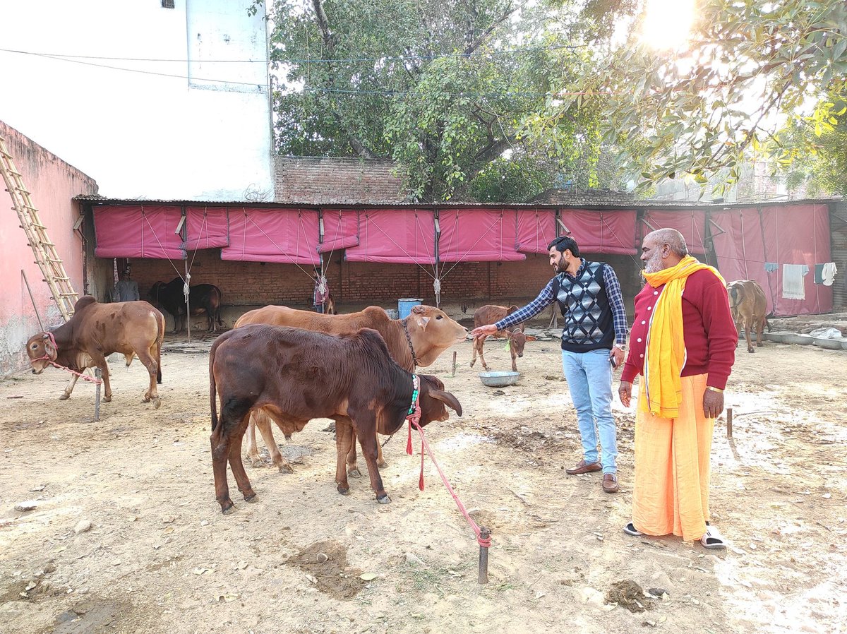 PravinRam_'s tweet photo. जोशीमठ के जगतगुरू शंकराचार्य स्वामी इंदुआश्रमजी महाराज और समिति के राष्टीय महासचिव जय प्रकाश गुज्जरजी के द्वारा मुझे अखिल भारतीय सर्वदलीय गौरक्षा महाभियान समिति में गुजरात के अध्यक्षके पद पर नियुक्त किया गया इसलिए मे जगतगुरू शंकराचार्य जी के शरणो मे नतमस्तक वंदन करता हूं। https://t.co/9f8FxKPwoC