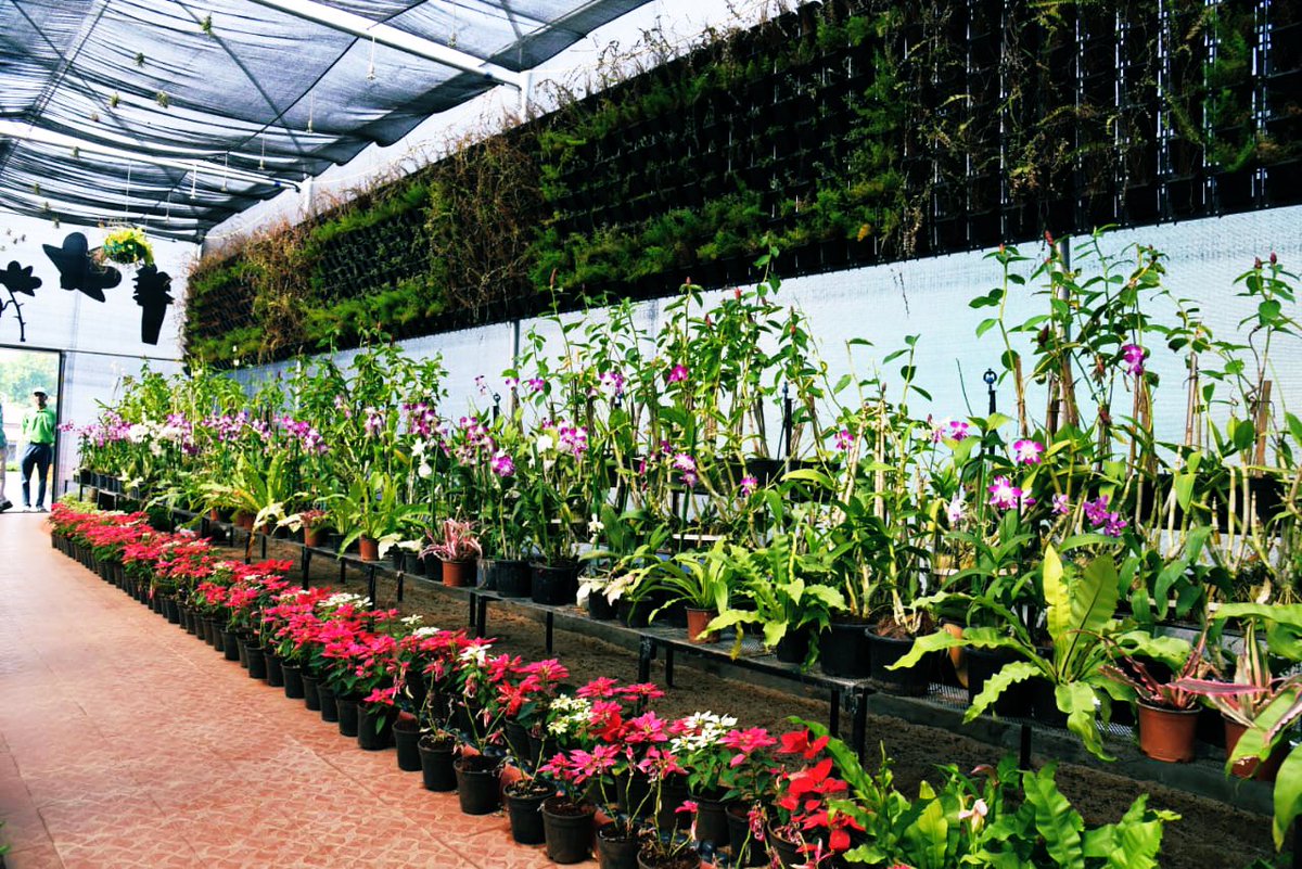 Orchidarium in #EktaNursery near @souindia,adorned with 3000 Orchid plants of 40 species.Visit & be mesmerised by treasure-house of Orchids native to India,being conserved & sold by Self Help Groups of local women giving employment & spreading awareness of eco-friendly practices