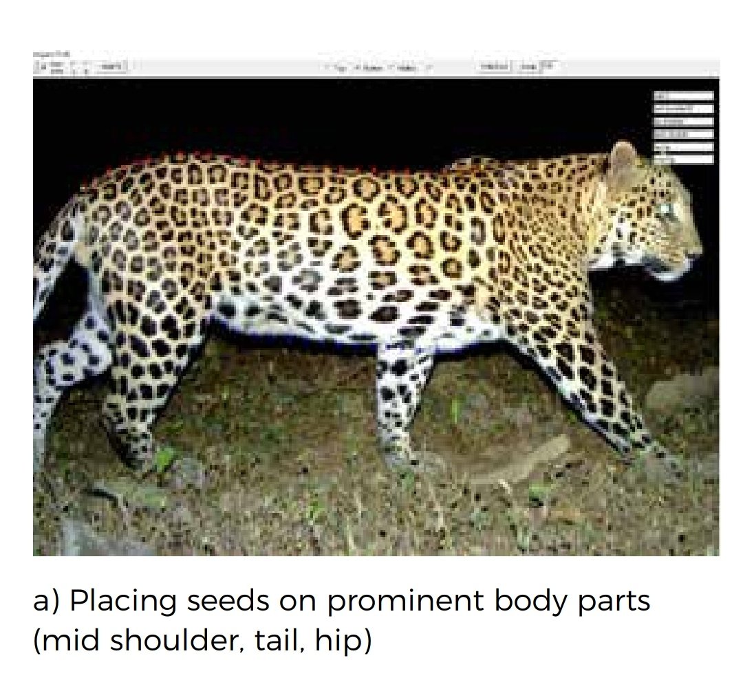Do you know how the estimation of  #Leopard count is done? ThreadStatus of leopard in 2018 in India is about 12852. Field, spatial & camera traps data is collected. 1. 51,337 leopard photographs fromcamera traps were analysed.2. In a 3D model, this photo will get superimposed