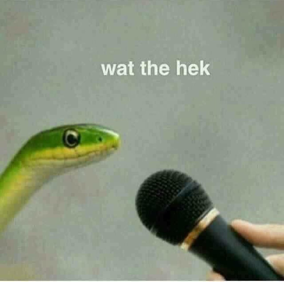 tuy12345's tweet image. Me when I heard the second stimulus was going to be $600 #StimulusChecks #secondstimulus