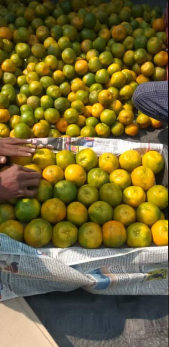 RailMinIndia's tweet photo. A Record single day loading of 425.5 Tonnes Oranges from Nagpur Division in Shalimar Kisan Rail. 

This is the highest ever loading done by Nagpur Division in Kisan Rail. 

Oranges were loaded from Warud, Pandhurna, Narkhed &amp; Katol stations of Nagpur Division. https://t.co/fsAk4Srk8c