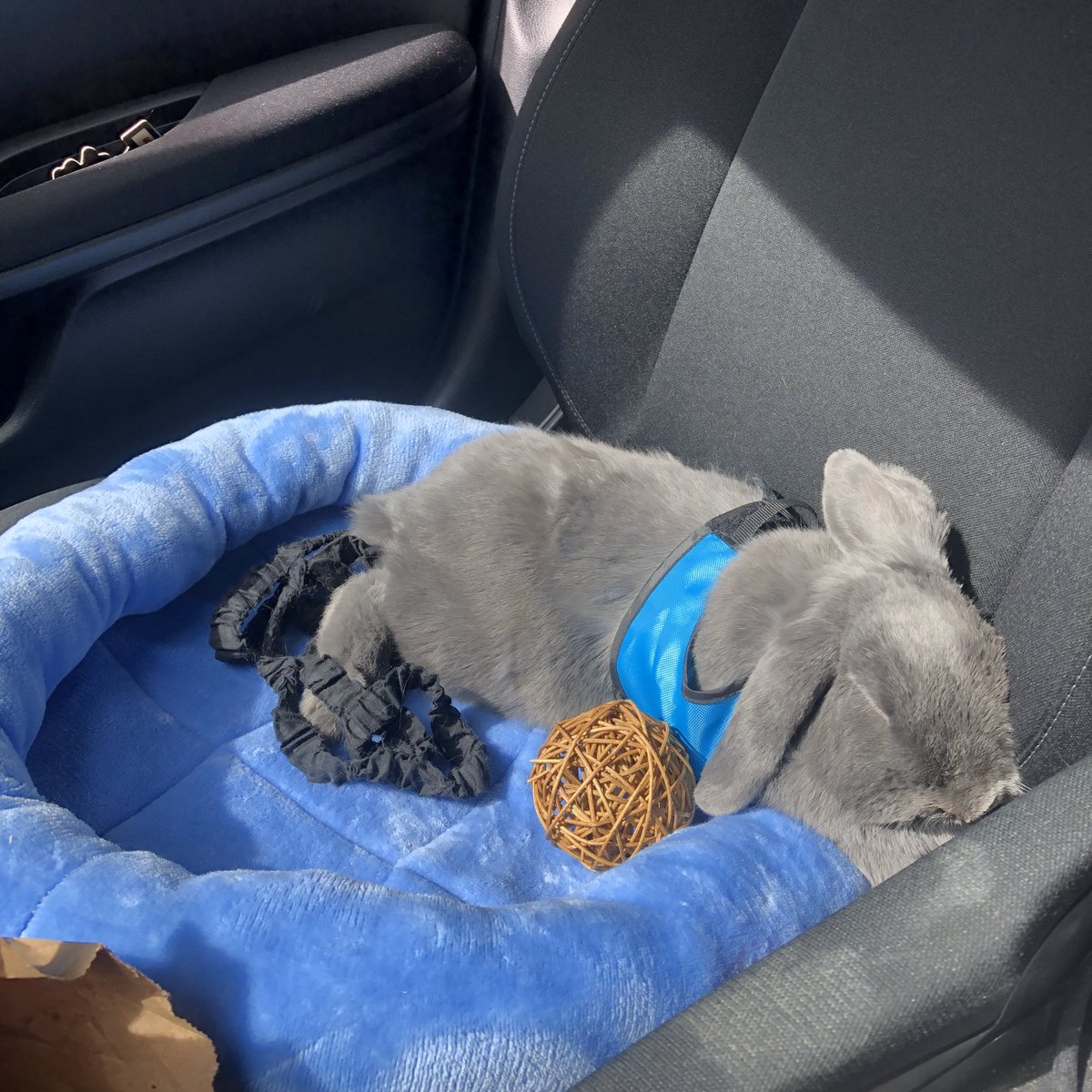 1am Sylvie photo dump cause he’s being a grumpy boi rn