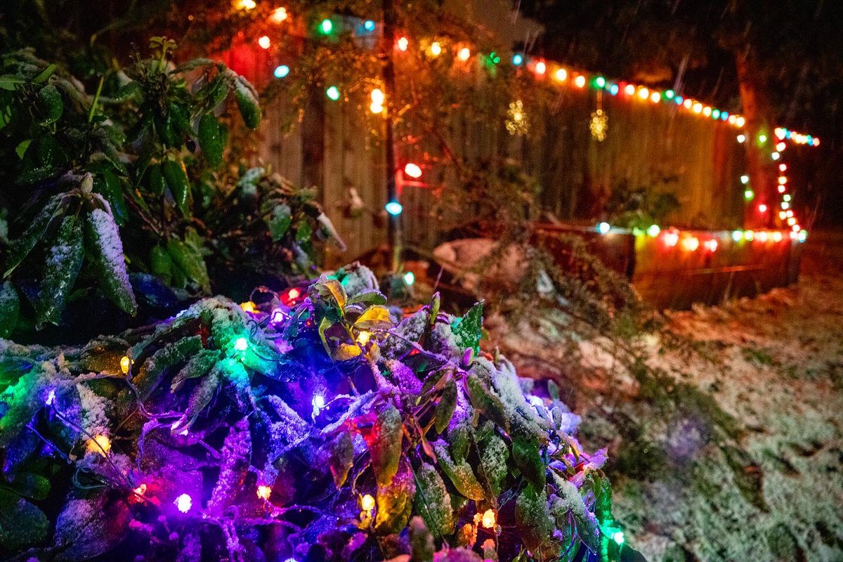 MereteB29's tweet photo. Bring on the snow! Happy holidays! 

#seattle #washington #christmas #HappyHolidays #snow #wintersoltice #christmaslights https://t.co/jAa0cJdNzs