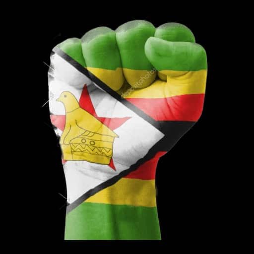 🇿🇼 ZANU PF PATRIOTS 🇿🇼 tweet media