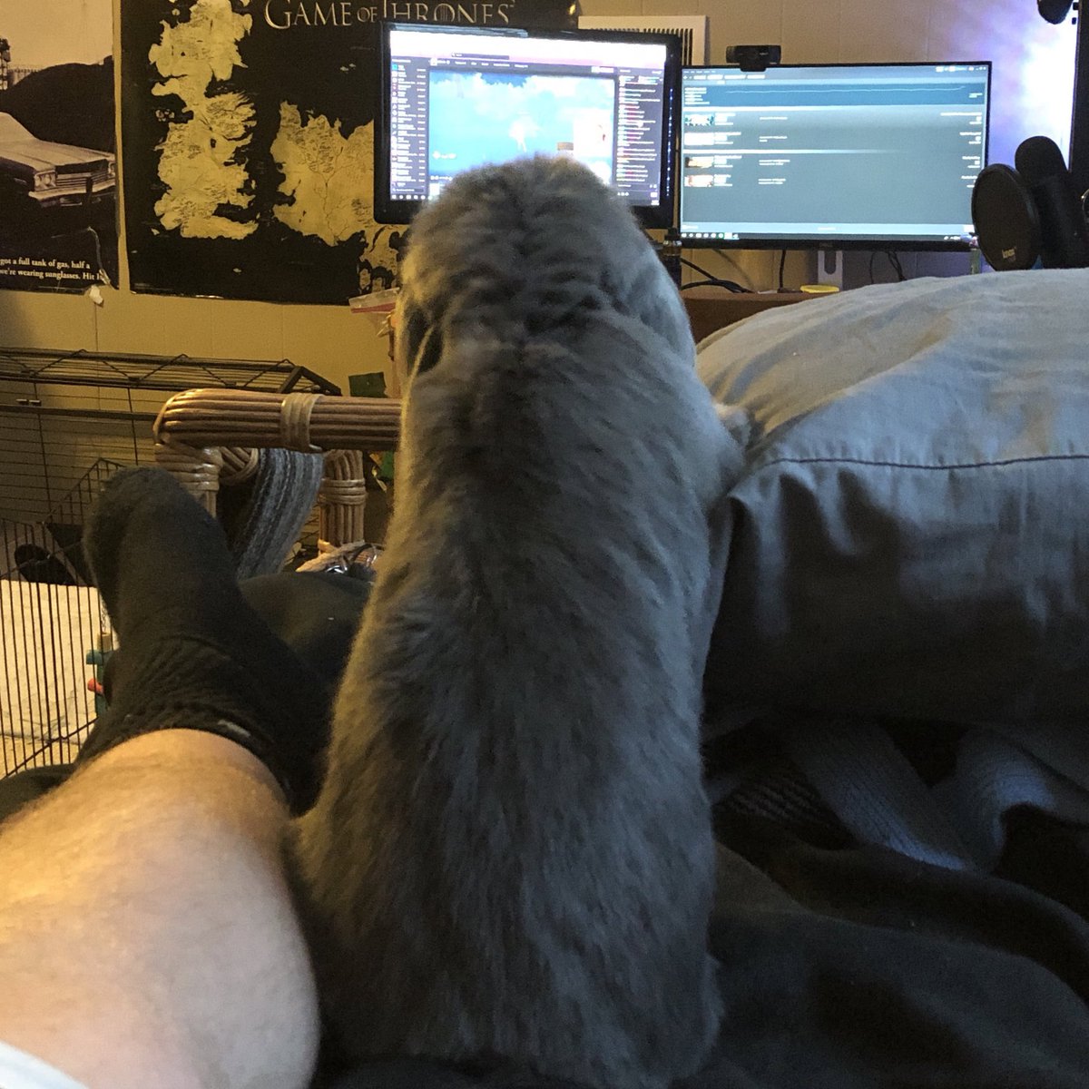 1am Sylvie photo dump cause he’s being a grumpy boi rn