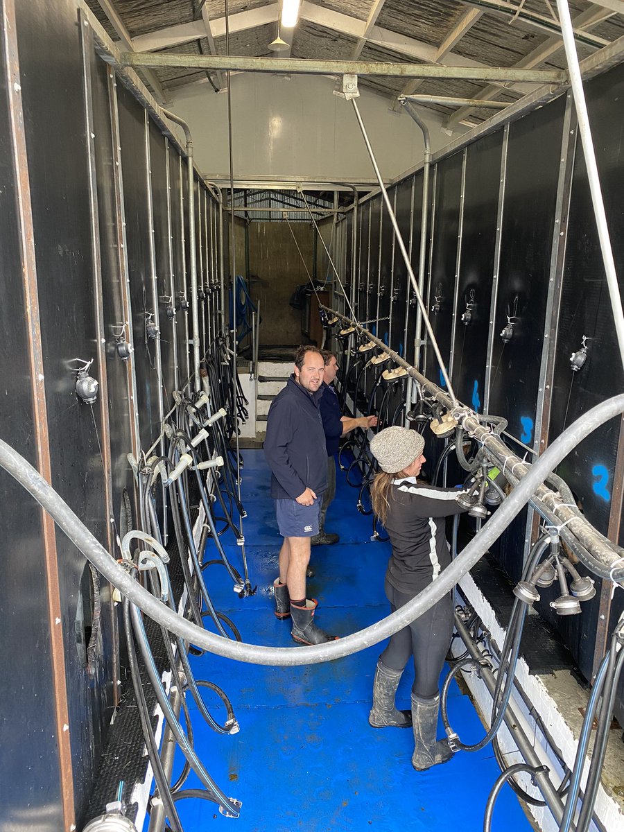 Looking at monitoring options on a deer dairy today with my old friends from <a href="/vantageagnz/">Vantage New Zealand</a> . #halosystems
