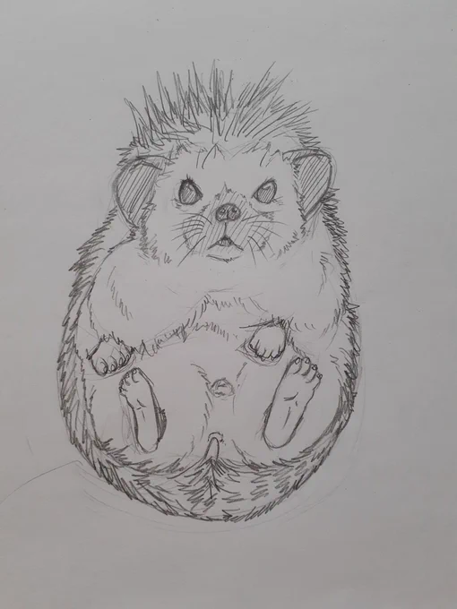 猫の日と関係ないけど、
ハリネズミも描いてましたw

リアル風を目指してみた!
(2枚目は手抜きなのはナイショw)

3枚目のは過去絵発掘したので?
このイラストだけ、どっかいっちゃたけど、何処しまったかな〜??
#ハリネズミ
#動物好きさんと繋がりたい 