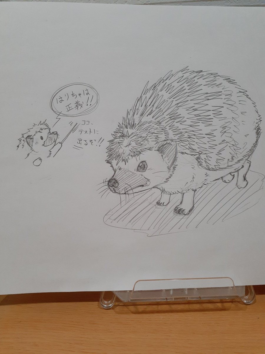 猫の日と関係ないけど、
ハリネズミも描いてましたw

リアル風を目指してみた!
(2枚目は手抜きなのはナイショw)

3枚目のは過去絵発掘したので?
このイラストだけ、どっかいっちゃたけど、何処しまったかな〜??
#ハリネズミ
#動物好きさんと繋がりたい 