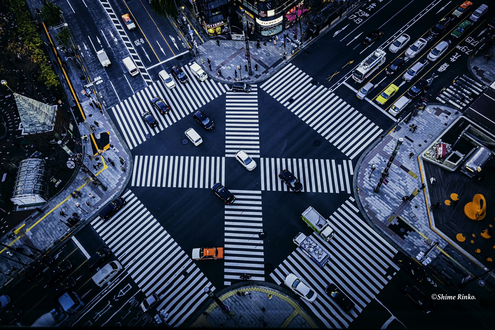 Shime Rinko Otoshinphoto Twitter