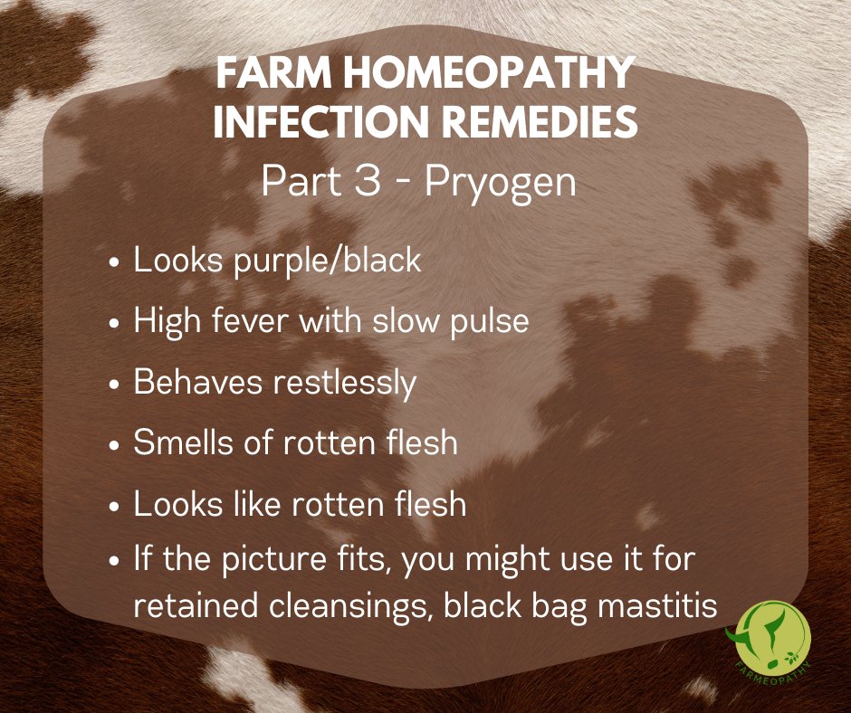 Sometimes farmers find conventional treatments don't seem to be helping. This is when the knowledge of infection remedies comes in useful.