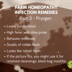 Photo by Homeopathy at Wellie Level (@Wellie_Level)