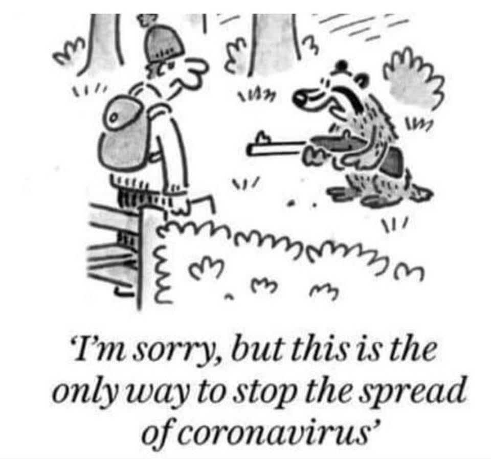 domdyer70's tweet photo. If the badgers were in charge #COVID19 https://t.co/YZRXIRqYQ7