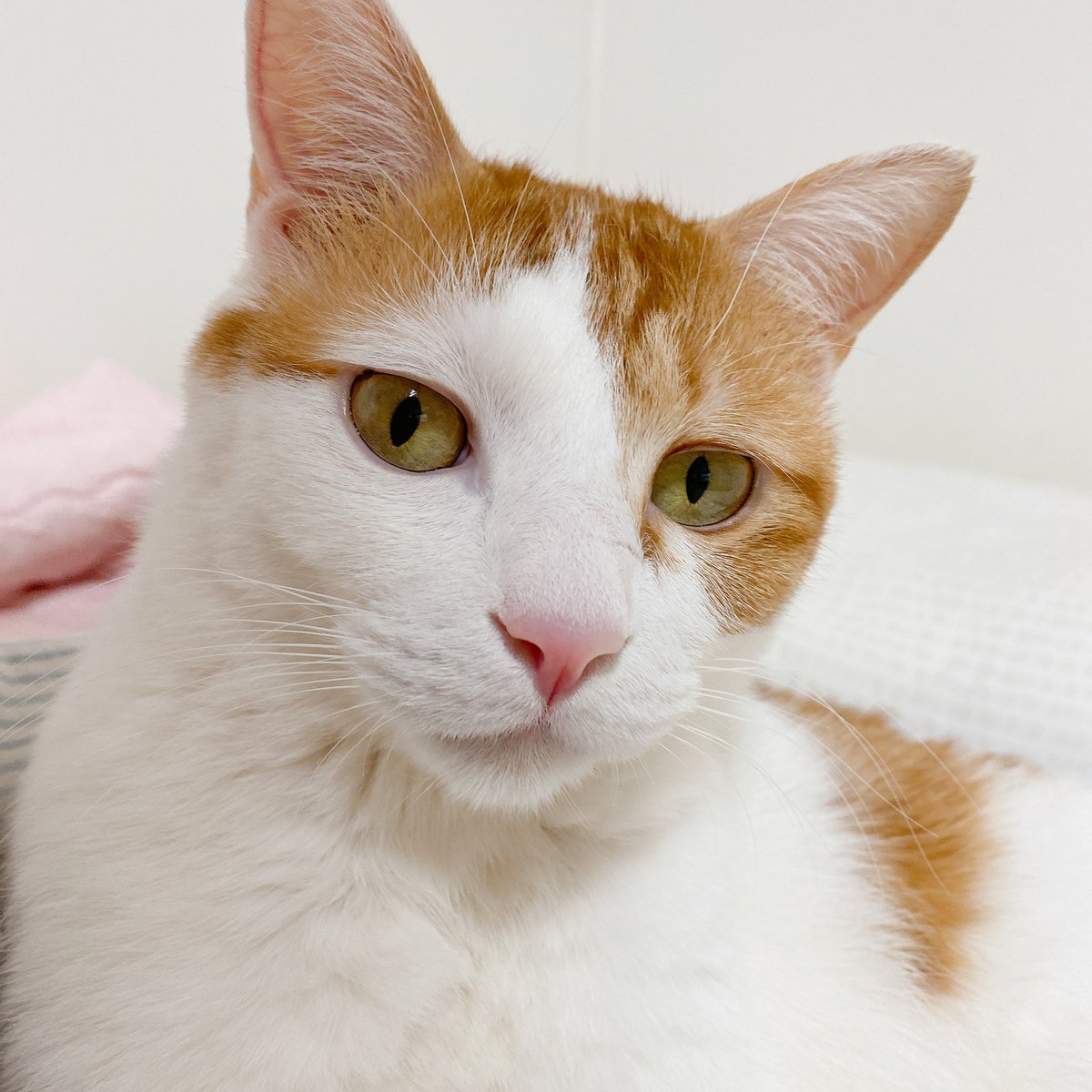 장난끼가득한 너의 눈빛👀