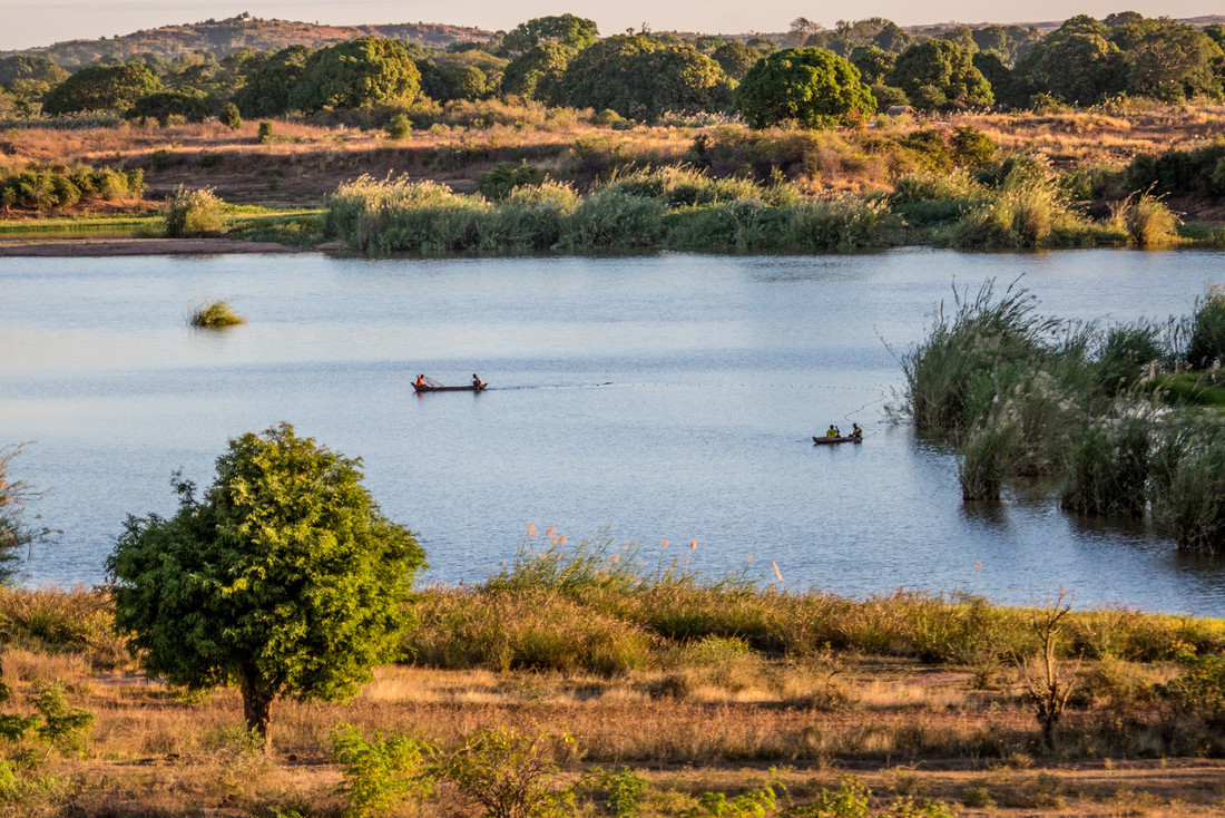 WWTworldwide's tweet photo. Madagascar's wetlands are a lifeline for people &amp; wildlife 💧🌱🐟 We're launching an ambitious wetland project to improve the livelihoods of 10k people - thanks to financial backing from @IUCN_PA, @europeaid and @PressACP through the #BIOPAMA Programme > https://t.co/MMiJsCKlAB https://t.co/2DUF0owXqa