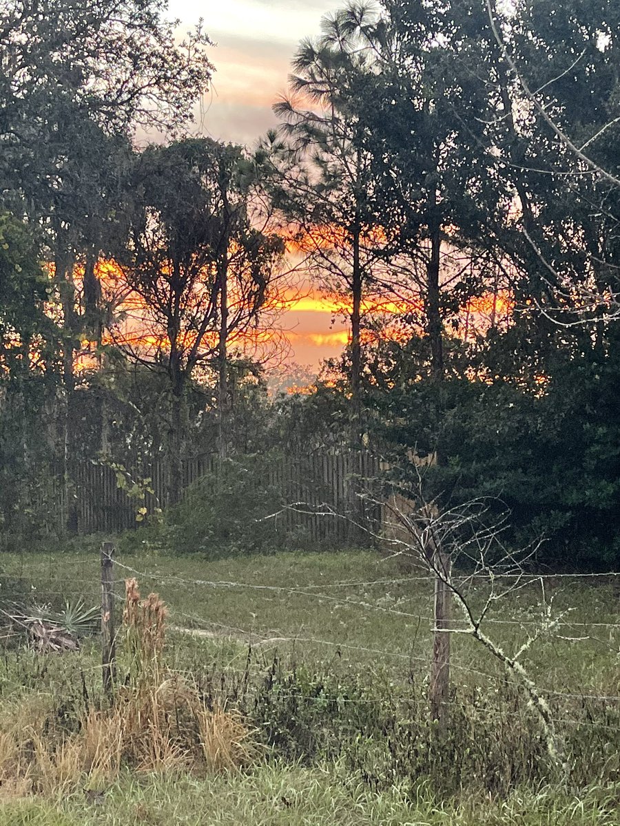 donnaterrell's tweet photo. When my thoughts drift to the business and busyness of this week, views like this remind me of the beauty in stillness. https://t.co/MVcL1hb2fR