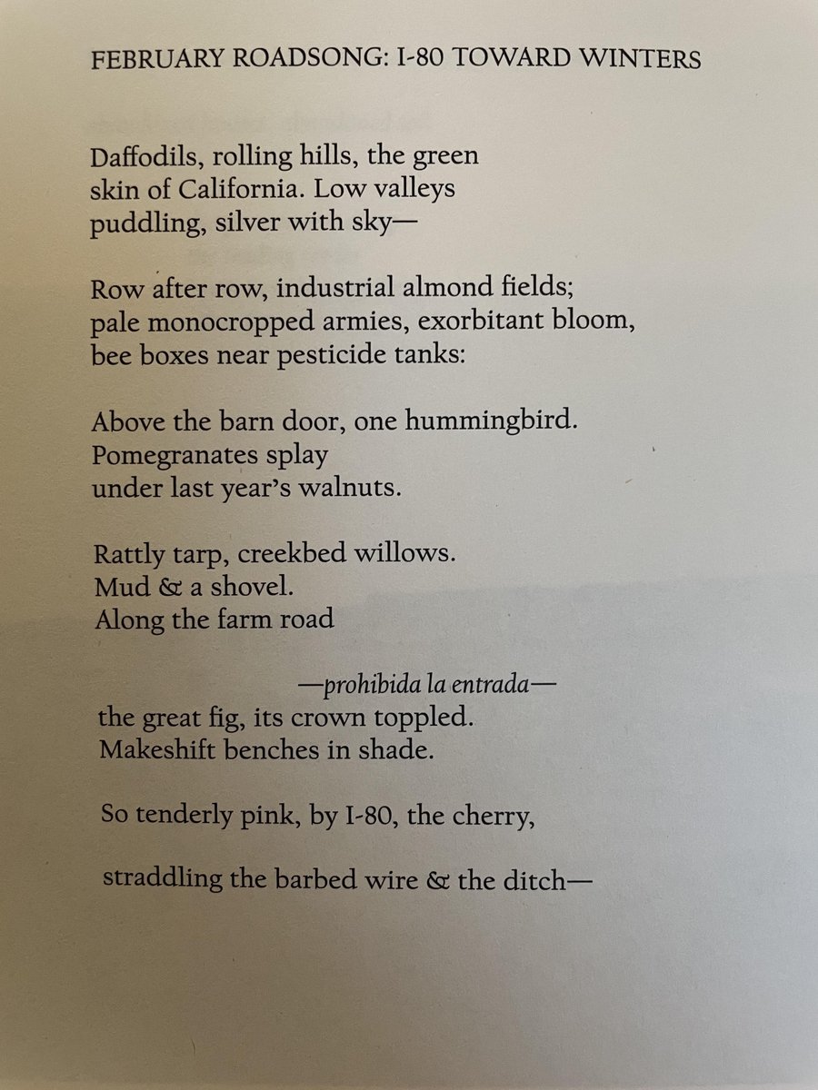 TELEPHONE: An International Arts Experiment tweet media