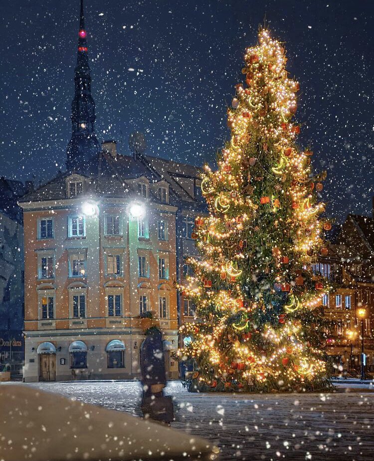 NSFAFILM's tweet photo. Merry Christmas and a Happy New Year! Let’s make a scene in 2021! 📷 by Egons Lacis https://t.co/QSlfHduZav