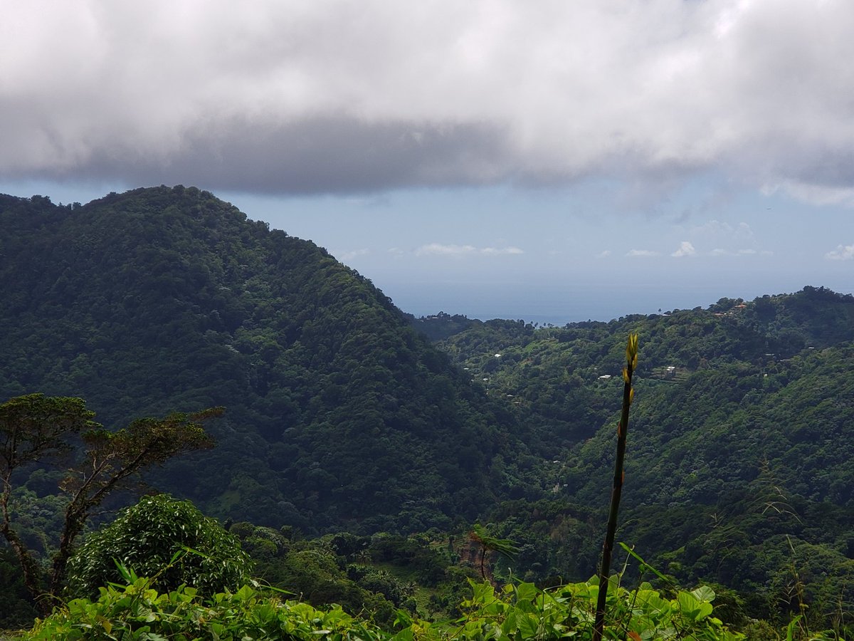 Nothing like an island view