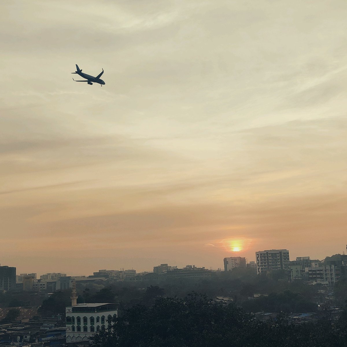 thot_2_action's tweet photo. The Evening Shot with #OnePlus
#sunsetphotography #readytoland https://t.co/4D4HDnKD2z