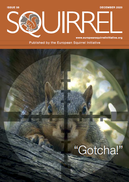 SquirrelESI's tweet photo. Issue 38 of the ESI Newsletter 'Squrriel' is now avaliable to view on our website.

Hard copies are also available upon request and have been sent to those on our mailing list. 

Read the newsletter here. 
https://t.co/IG02Wak8jO https://t.co/Clmy5nE8b1