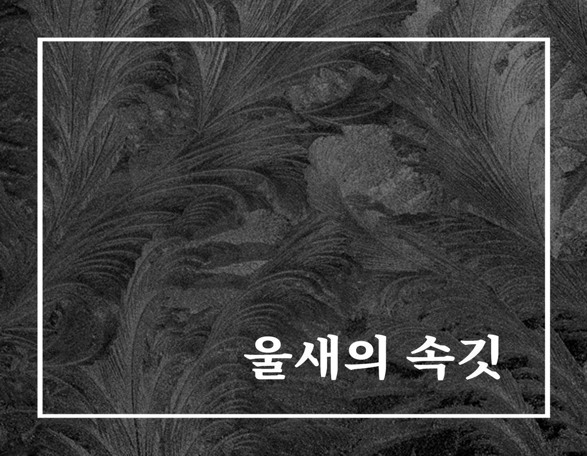 5period7's tweet photo. “…우리가 언제부터 부부였지? 비록 기억이 나지는 않지만 이제라도 좋은 남편이 될 수 있도록 노력해볼게.”

길고 긴 생을 돌아 이 자리로 왔으니, 이제 남은 것은 널 기다리는 것 뿐.

잼잼, <울새의 속깃>
#계간57겨울호 #하그리브스부부 #연말파티 #바냐만모르는사실

⛄️https://t.co/1ix6ydCgAA https://t.co/MGwxt01PLM