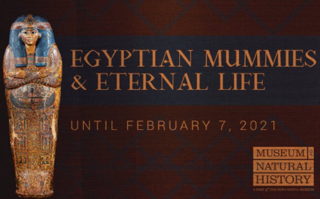 Museum MNH tweet media