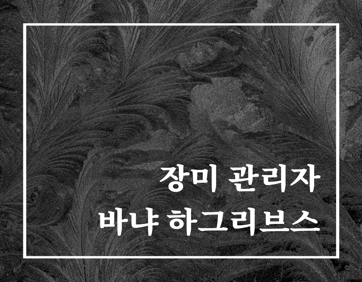 5period7's tweet photo. "…바냐는 갑자기 심장을 의식했다. 평소에는 그 위치도 제대로 몰랐던 것이 느리고 크게 쿵, 쿵, 하고 뛰었다."

너를 위해 피어난, 단 한송이 장미.

김로망, <장미 관리자 바냐 하그리브스>
#계간57겨울호  #로즈버스AU #엄마미소짓게되는 #달콤쌉싸름
⛄️https://t.co/SYUhuqVbMb https://t.co/GUrsHUQw3T