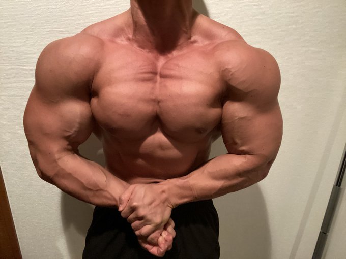 ウニ娘 プリティーダービーさん のツイート 筋肉 の検索結果 1 Whotwi グラフィカルtwitter分析