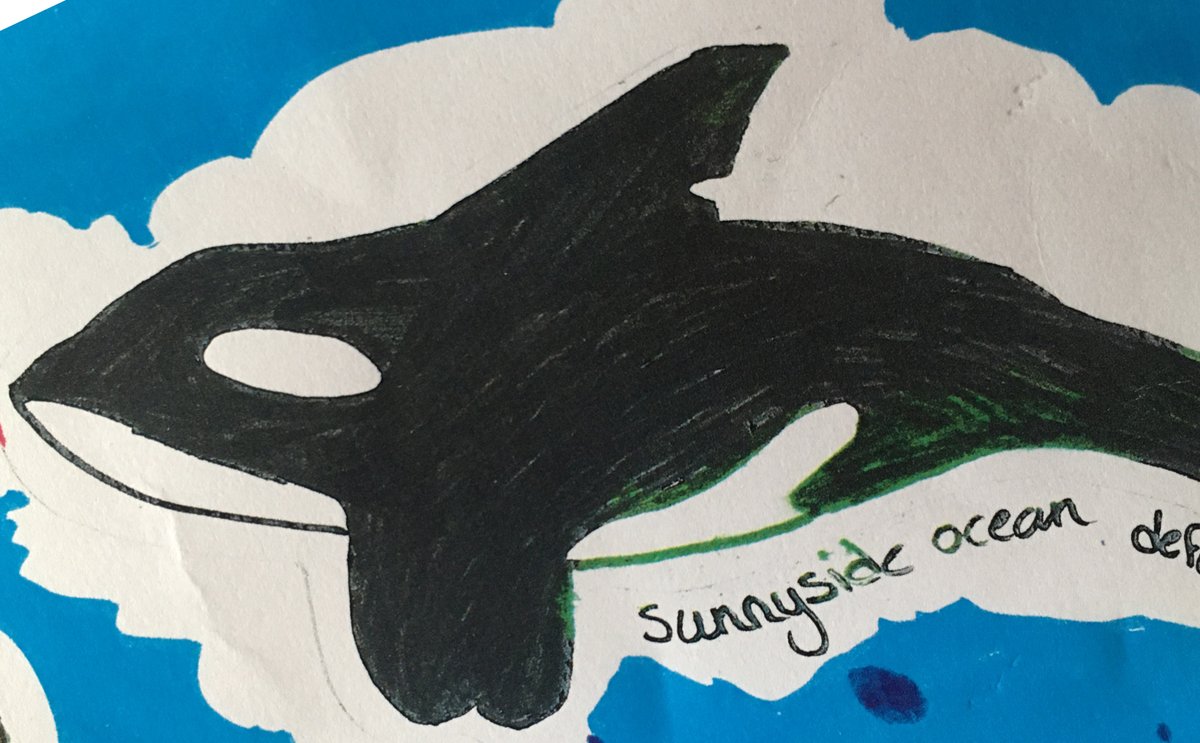 HughHarrop's tweet photo. Lovely to receive this amazing Christmas card and gifts from the brilliant Ocean Defenders crew @SunnysidePri. The #Orca pic is a perfect ID match for 019 'Mousa' - widely known to be one of their favourite Orcas๐. Thanks to you all, you've absolutely made my day! #naestrawataw https://t.co/UUUfxXe9MU