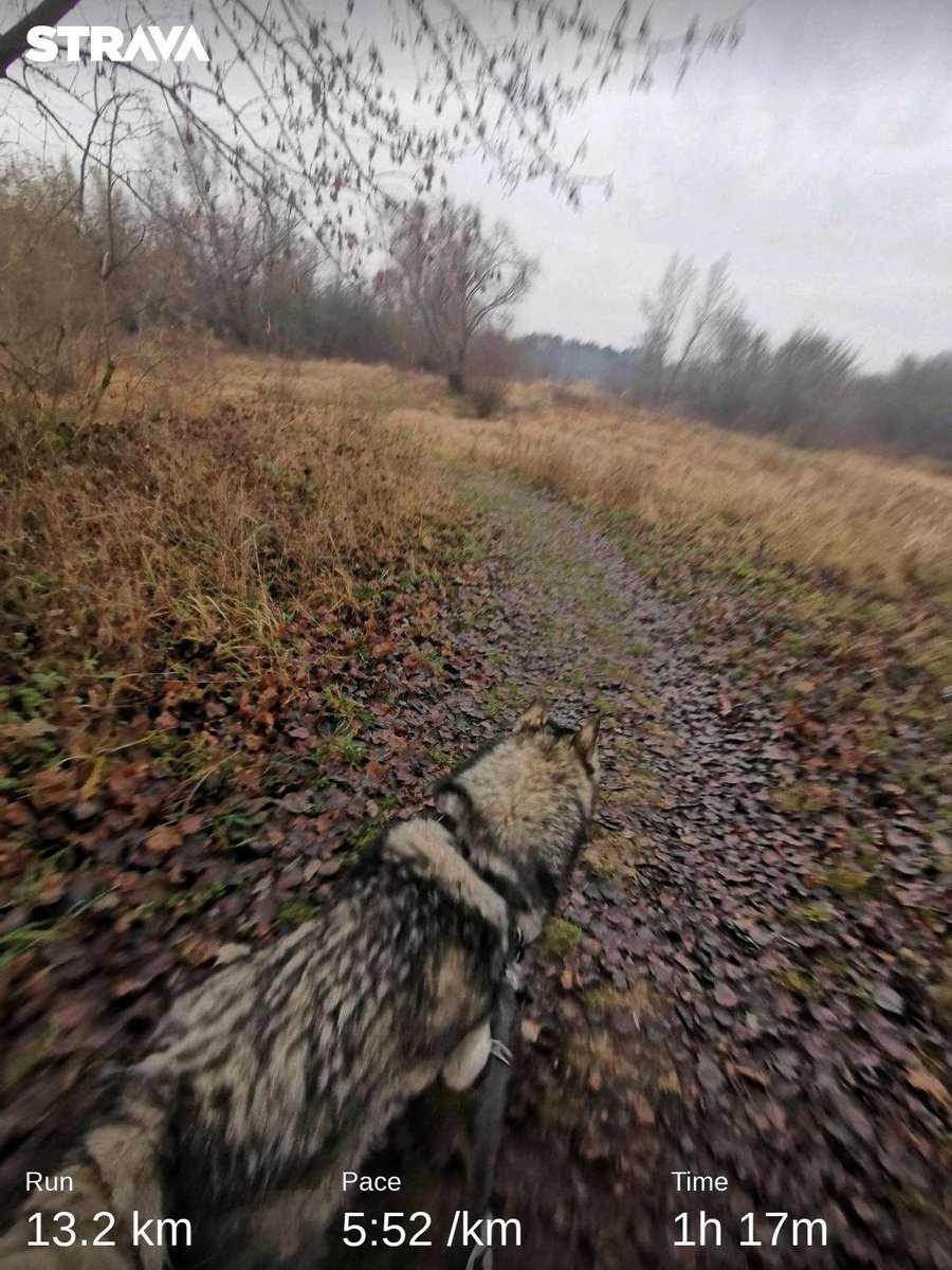 Pawel_Kownacki's tweet photo. 2 km #PoChetane a nastęnie 12 podbiegów. Blisko coraz bliżej. :) https://t.co/aZqUZv5yYU