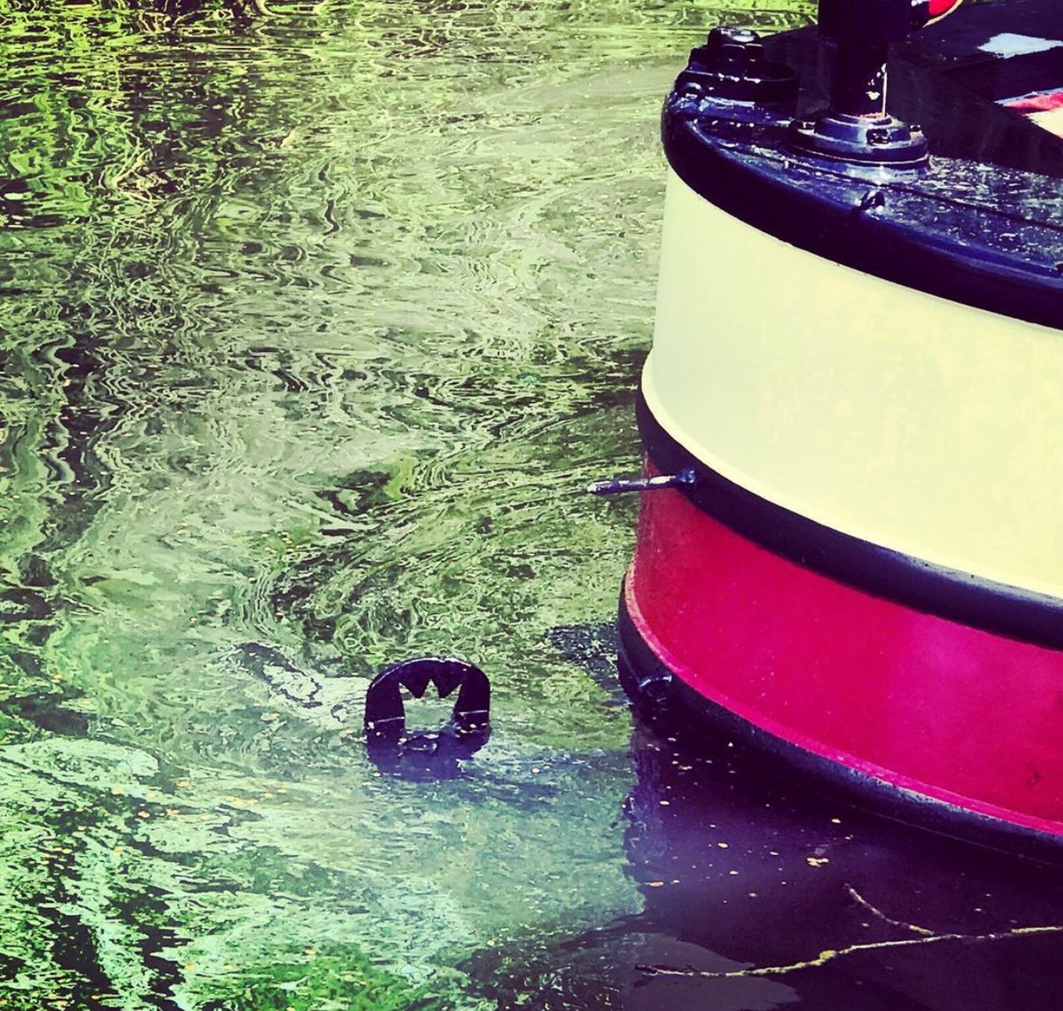 KingsgroundTiff's tweet photo. It’s in the detail 👑 
#TheCrown #kingsground #lifesbetterbywater #qualitythroughpride #beautifulcraftbeautifullycrafted 🤴🏻 👑 https://t.co/JVmtET0pgI