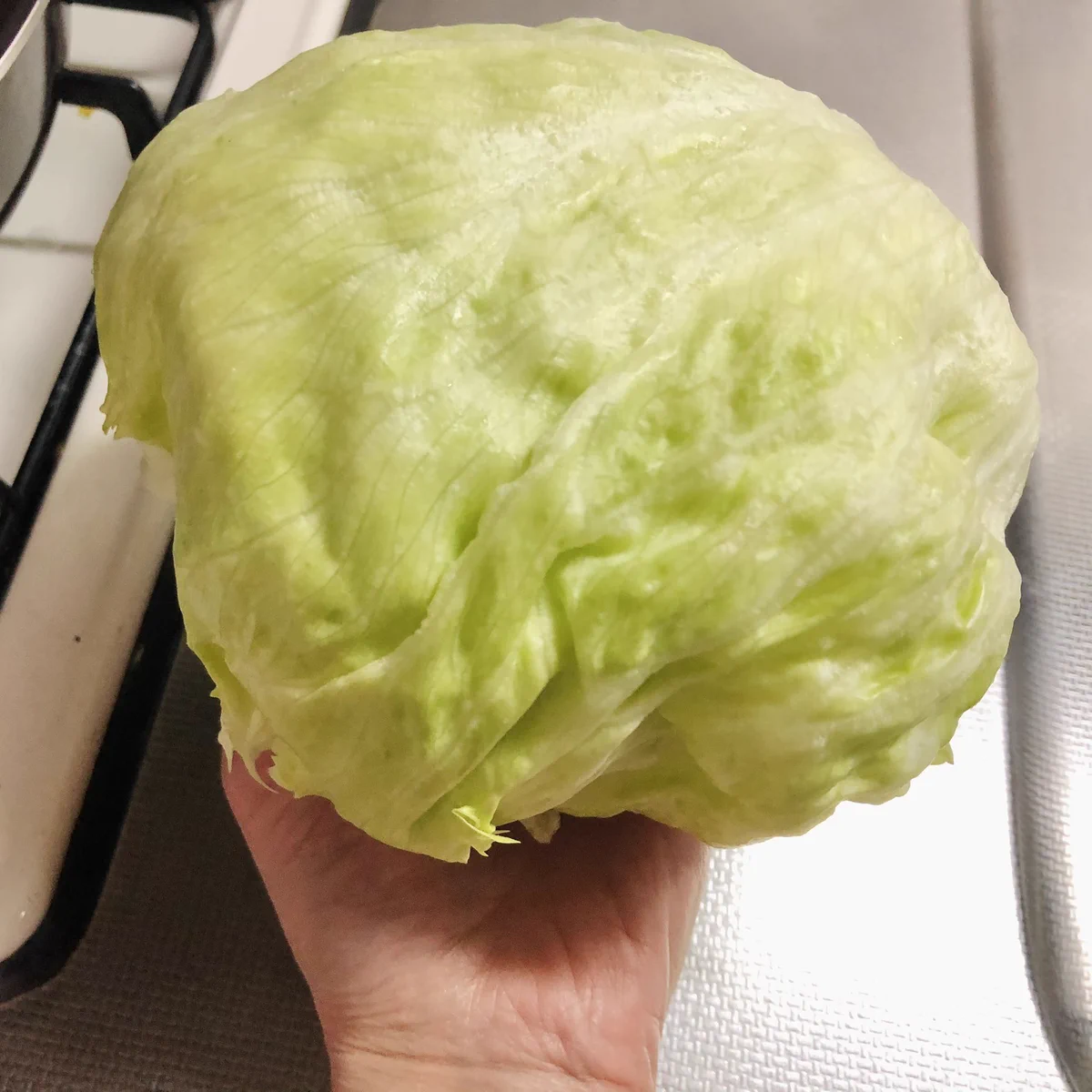 そのままでも美味しいけれど火を通すのもあり？！レタスを使ったあったかサラダのレシピ！