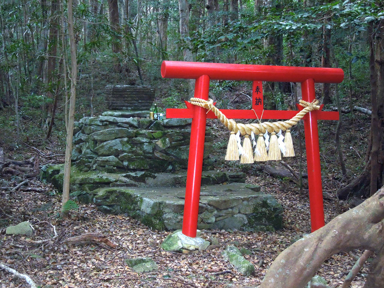 ｂｃｓ オソロシドコロ 長崎県の対馬の山の中 道なき道を 15分登って 奇跡的に見つけました 怖かった 対馬固有の 天道信仰 の伝説上の聖人である 天道法師の母の墓 と伝えられていてる石積みの祭壇です 対馬 裏八丁郭 八丁郭 オソロシドコロ 神社