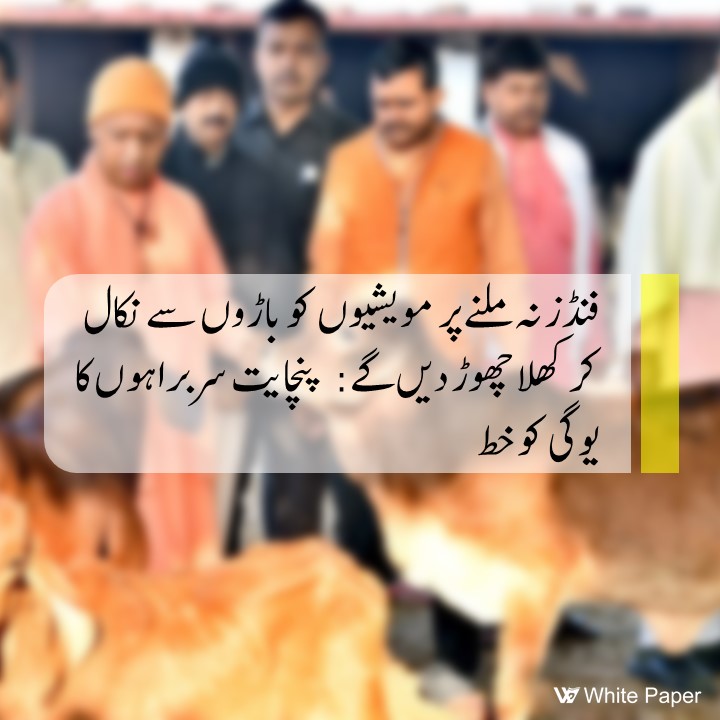 TheWhitePaperUr's tweet photo. اترپردیش کے بندیل کھنڈ سے تعلق رکھنے والے متعدد پنچایت سربراہوں نے وزیر اعلی یوگی آدتیہ ناتھ کو خط لکھا ہے جس میں کہا گیا ہے کہ "کاؤ شیڈ" منصوبے کے لئے ریاستی حکومت کے فنڈز روکنے کے نتیجے میں متعدد جانور بھوکے مر رہے ہیں۔
#YogiAdityanath 
#UttarPradesh https://t.co/ZD0qLsGNav